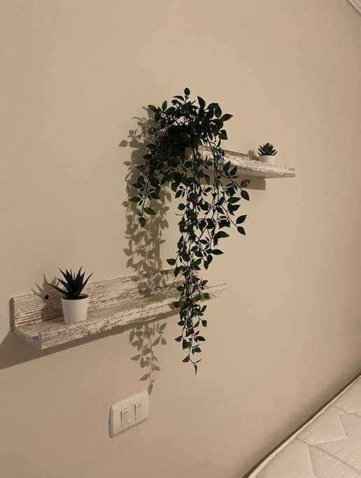 Ultra Modern & Super Cozy Wz A Private Garden Apartment